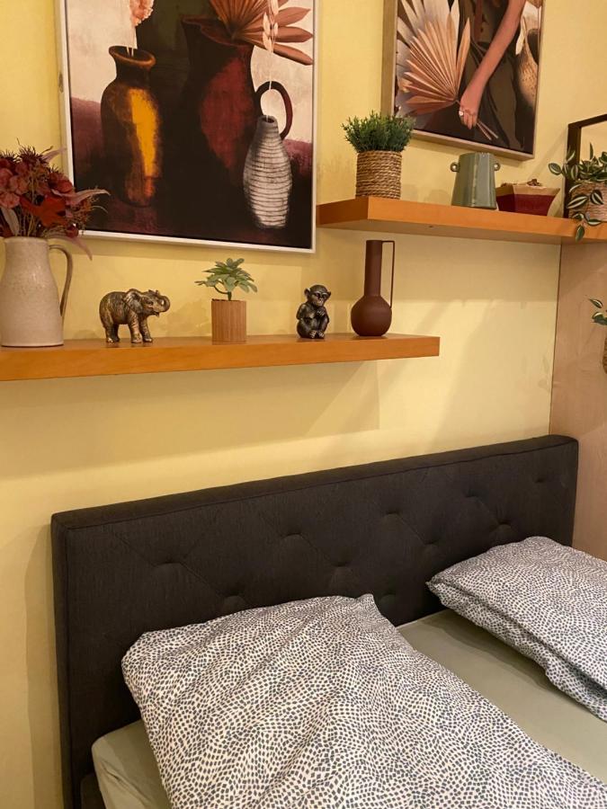 Jungle Story Apartment By Millenaris Park With Free Parking Budapešť Exteriér fotografie